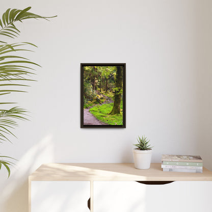 Torc Trail Matte Canvas, Framed (Multi-color)