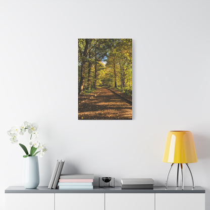 Listowel Town Park Autumn Matte Canvas, Stretched, 1.25"