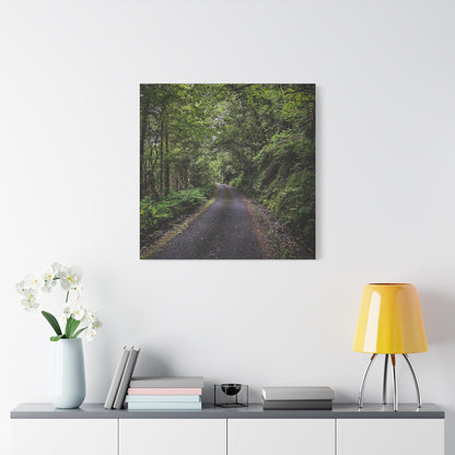 Glanageenty Forest Trail Matte Canvas, Stretched, 1.25"