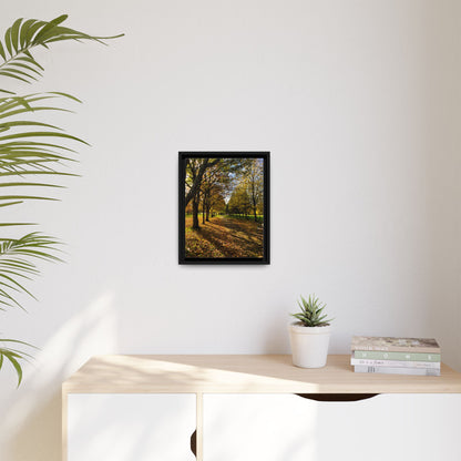 Listowel town Park Autumn Matte Canvas, Framed (Multi-color)