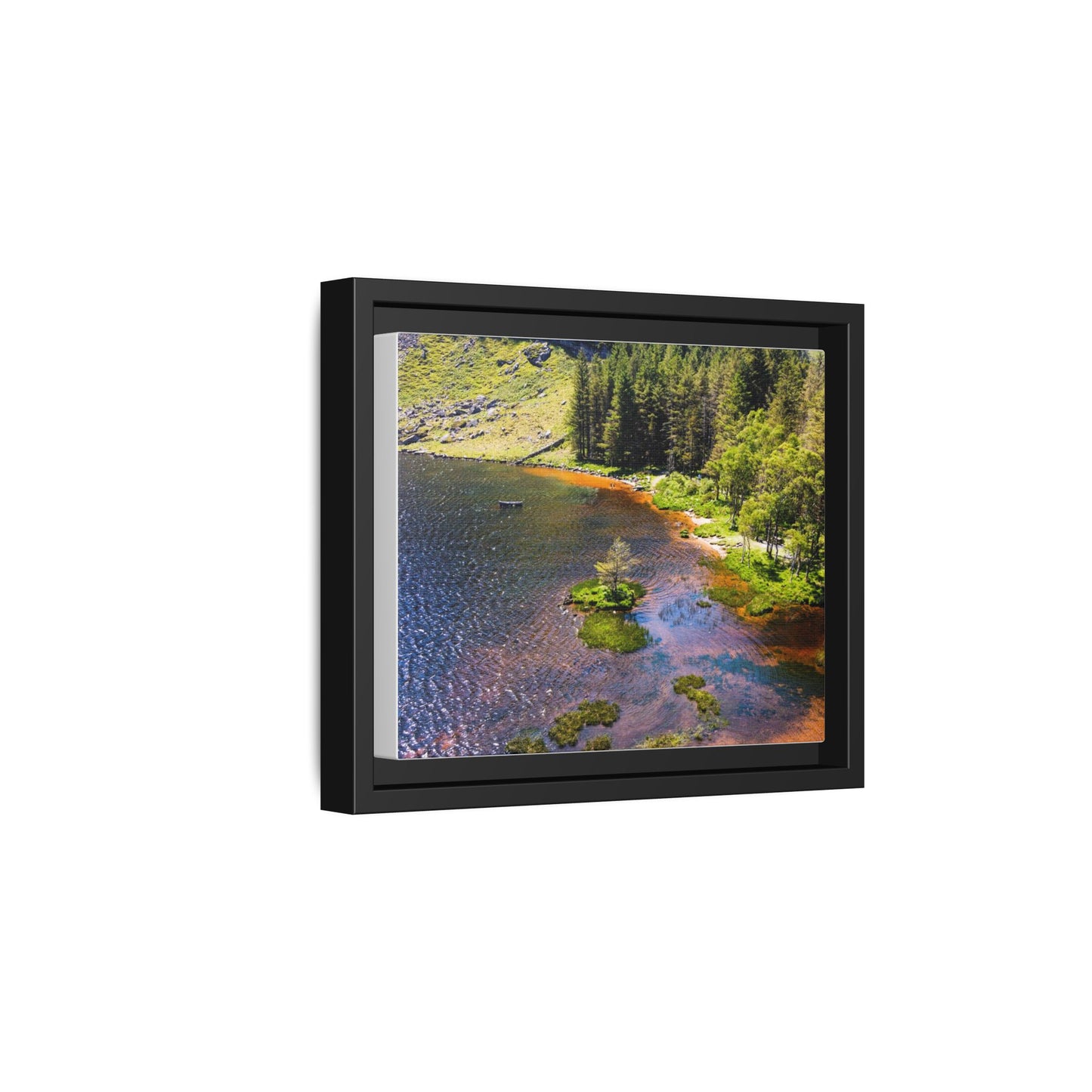 Gleanteenassig Forest Matte Canvas, Framed (Multi-color)