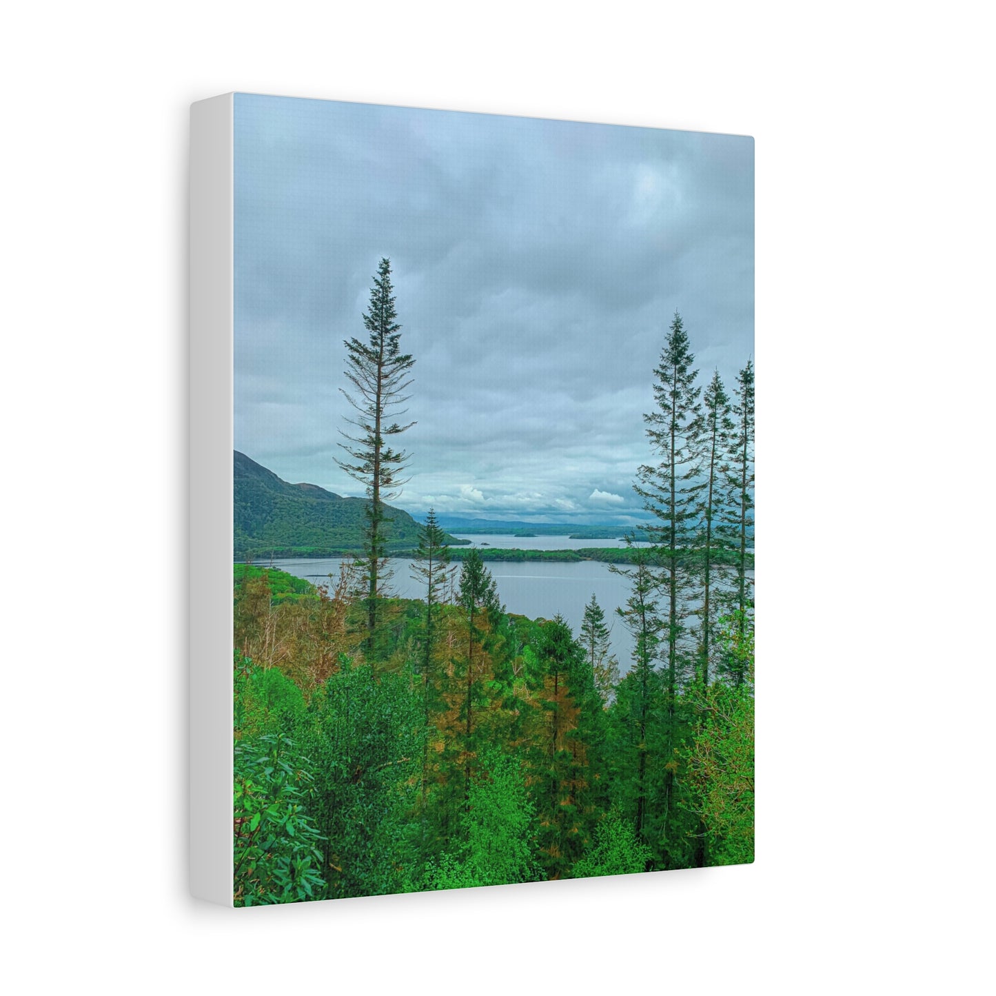 Torc Mountain Trail 2 Matte Canvas, Stretched, 1.25"