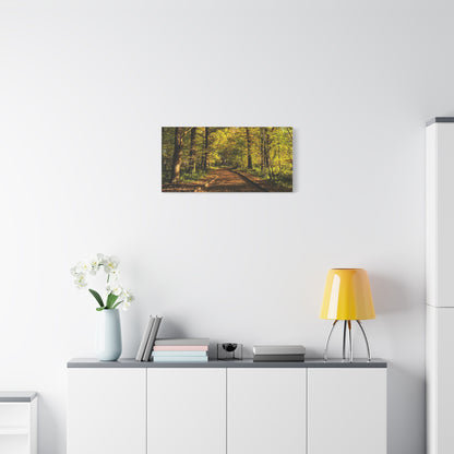 Listowel Town Park Autumn Matte Canvas, Stretched, 1.25"