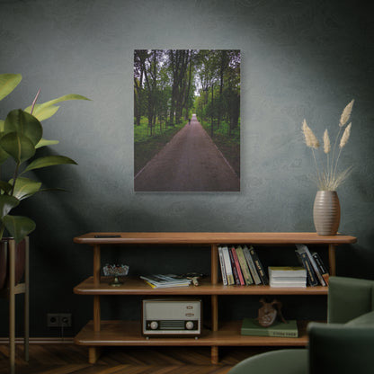 Zagares Park Lithuania Matte Canvas, Stretched, 1.25"