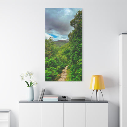 Torc Trail Matte Canvas, Stretched, 1.25"