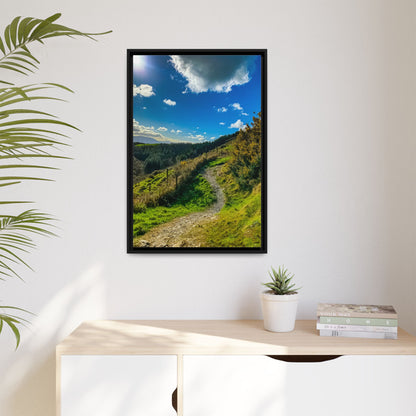 Glanageenty Forest Trail  Matte Canvas, Framed (Multi-color)