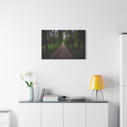 Zagares Park Lithuania Matte Canvas, Stretched, 1.25"