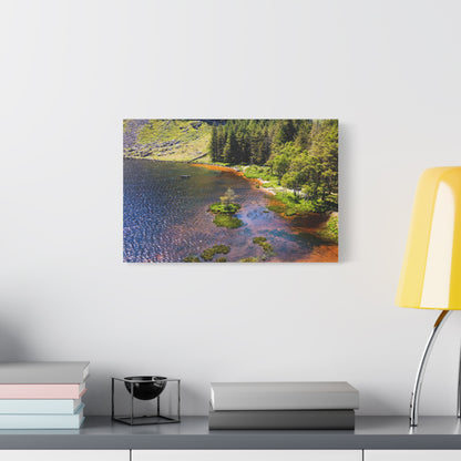 Gleanteenassig Forest Matte Canvas, Stretched, 1.25"