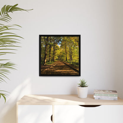 Listowel Town Park Autumn Matte Canvas, Framed (Multi-color)