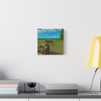 Horse Matte Canvas, Stretched, 1.25"