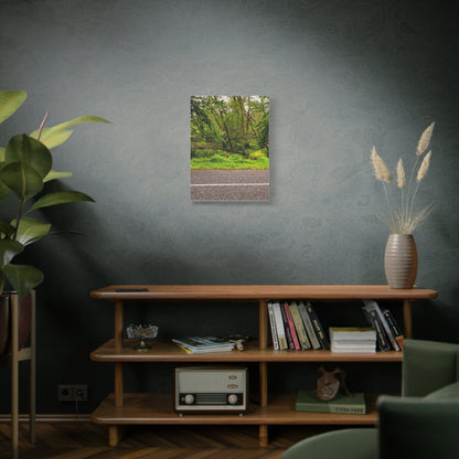 Deer in Ditch Matte Canvas, Stretched, 1.25"