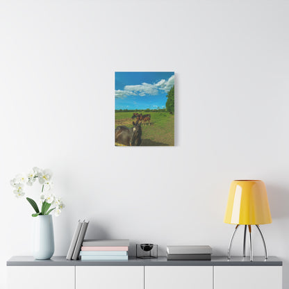 Horse Matte Canvas, Stretched, 1.25"