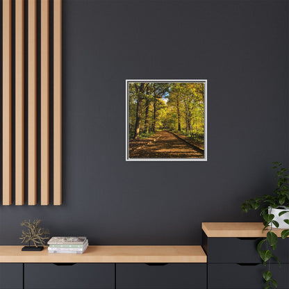 Listowel Town Park Autumn Matte Canvas, Framed (Multi-color)