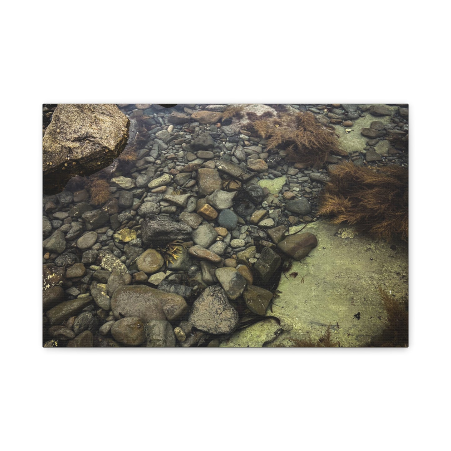 Rocks Matte Canvas, Stretched, 1.25"