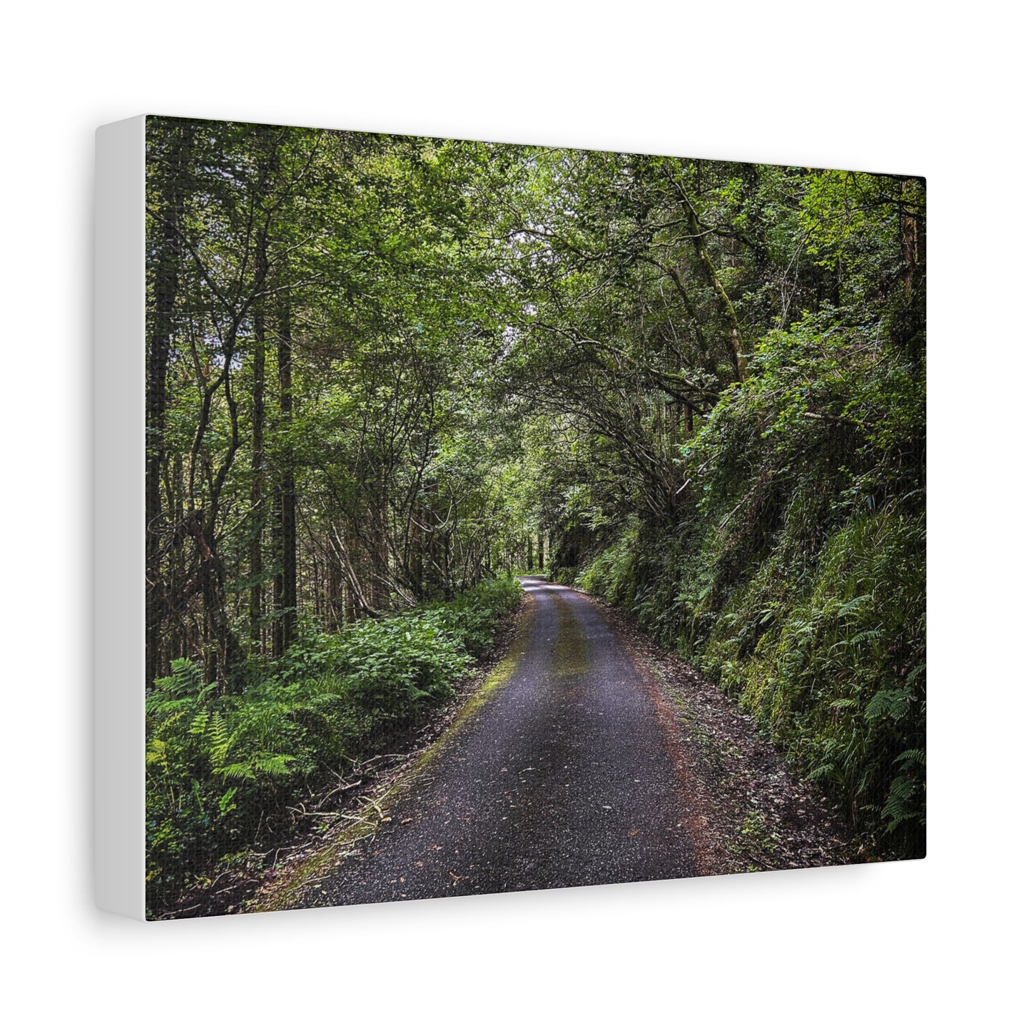 Glanageenty Forest Trail Matte Canvas, Stretched, 1.25"