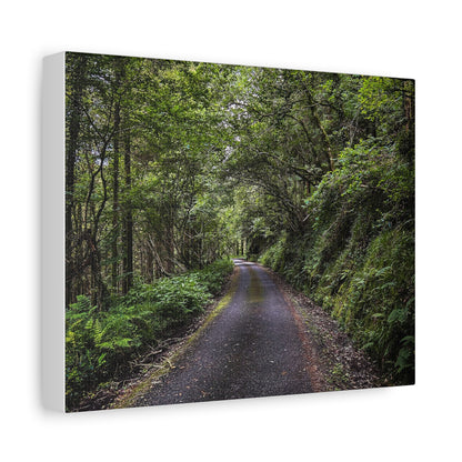 Glanageenty Forest Trail Matte Canvas, Stretched, 1.25"