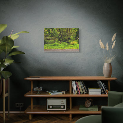 Deer in Ditch Matte Canvas, Stretched, 1.25"