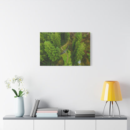 Glanageenty Forest Matte Canvas, Stretched, 1.25"