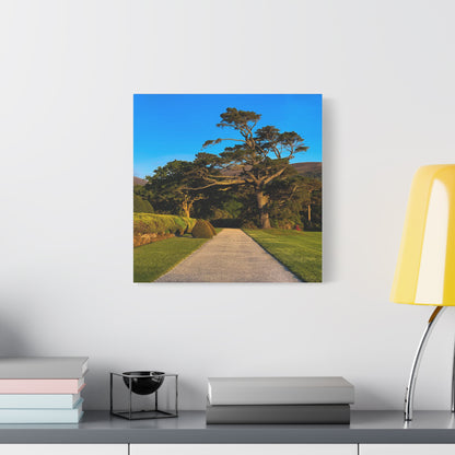 Muckross House Garden Matte Canvas, Stretched, 1.25"