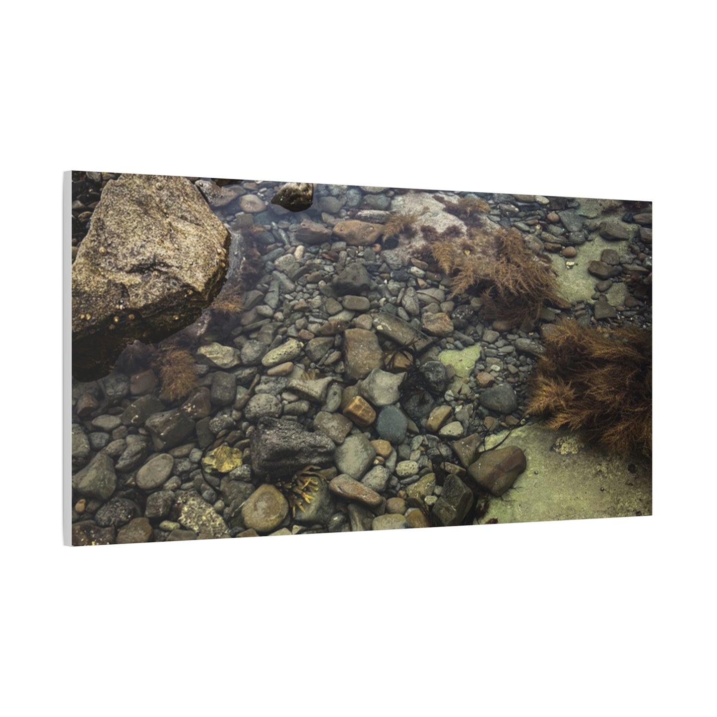 Rocks Matte Canvas, Stretched, 1.25"