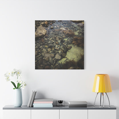 Rocks Matte Canvas, Stretched, 1.25"