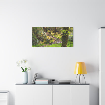 Torc Trail Matte Canvas, Stretched, 1.25"