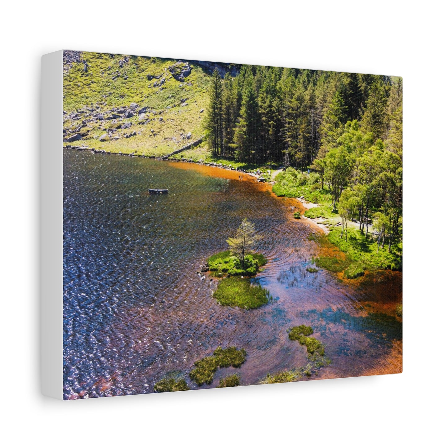 Gleanteenassig Forest Matte Canvas, Stretched, 1.25"