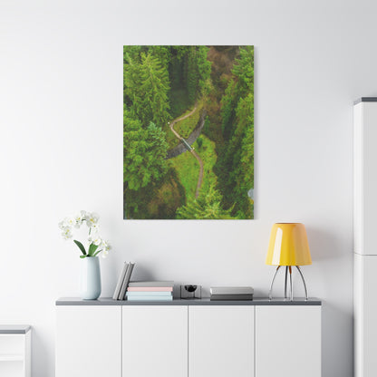 Glanageenty Forest Matte Canvas, Stretched, 1.25"