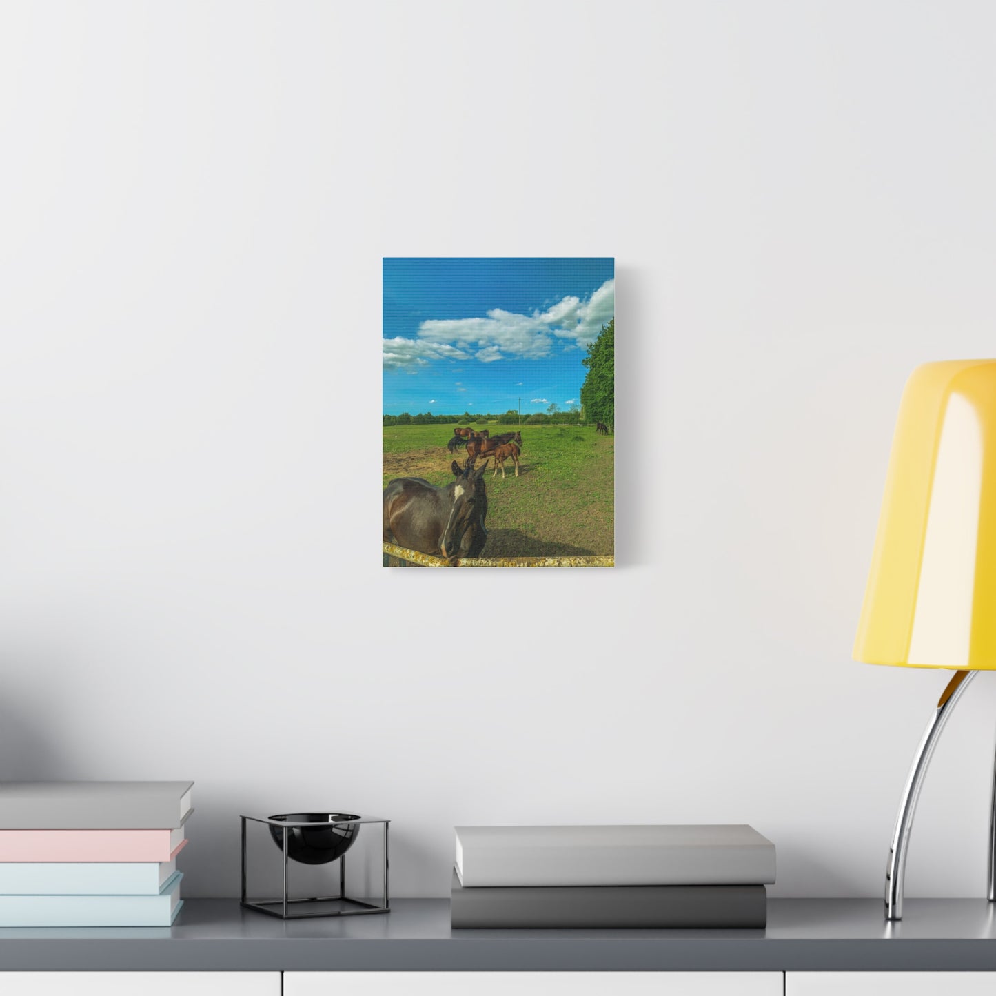 Horse Matte Canvas, Stretched, 1.25"