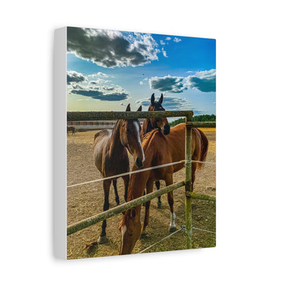 Horses Matte Canvas, Stretched, 1.25"
