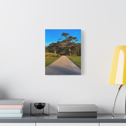 Muckross House Garden Matte Canvas, Stretched, 1.25"