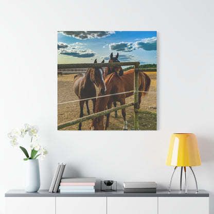Horses Matte Canvas, Stretched, 1.25"