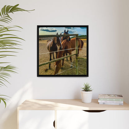 Horses Matte Canvas, Framed (Multi-color)
