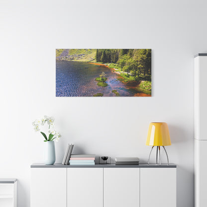 Gleanteenassig Forest Matte Canvas, Stretched, 1.25"