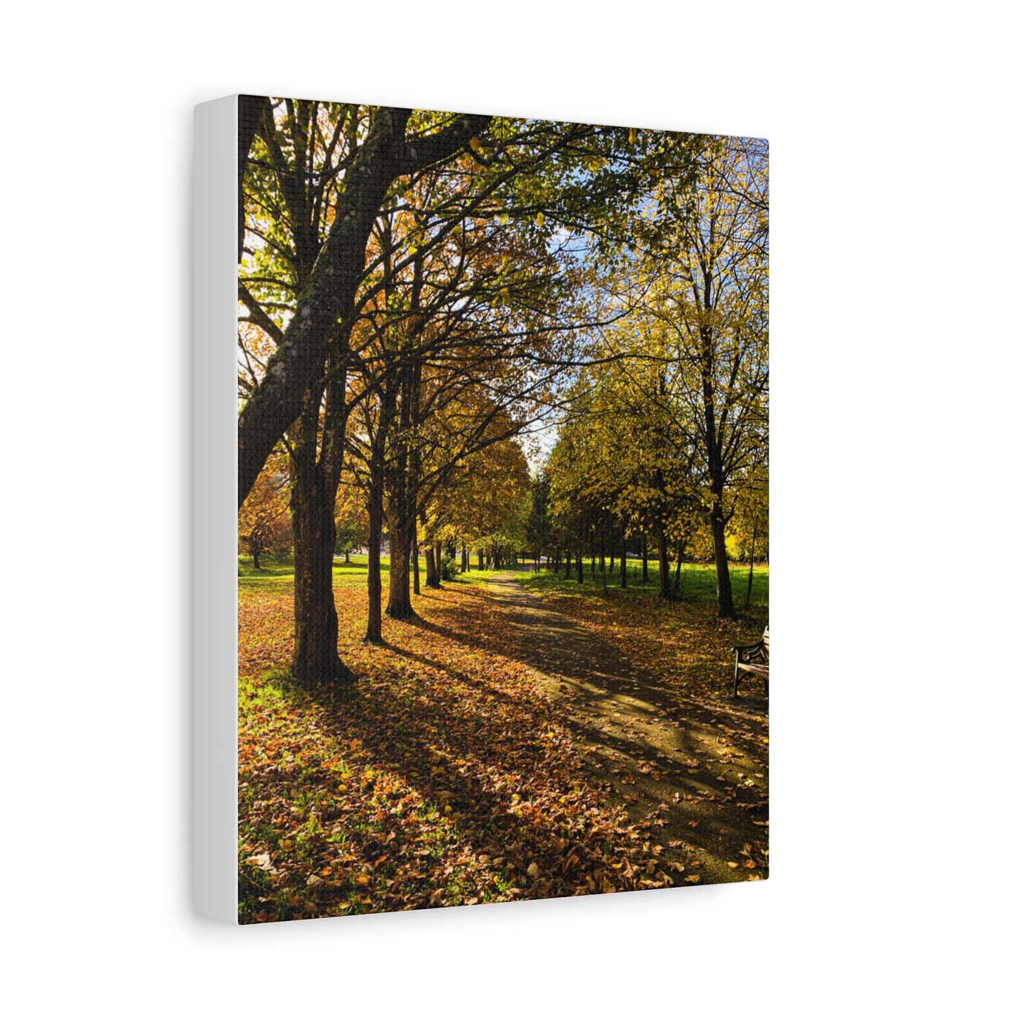 Listowel Town Park Autumn Matte Canvas, Stretched, 1.25"