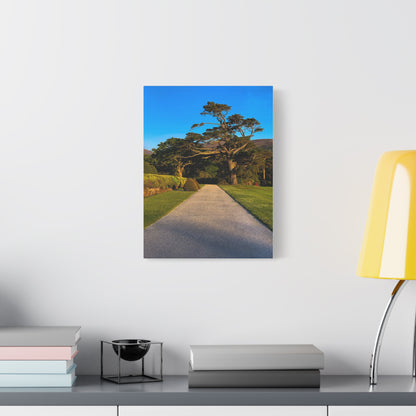 Muckross House Garden Matte Canvas, Stretched, 1.25"