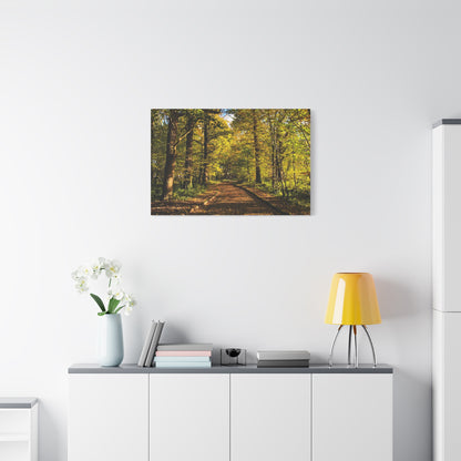 Listowel Town Park Autumn Matte Canvas, Stretched, 1.25"