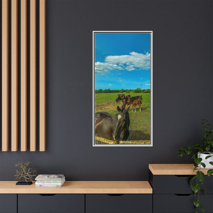 horses 2 Matte Canvas, Framed (Multi-color)