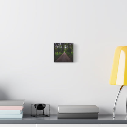 Zagares Park Lithuania Matte Canvas, Stretched, 1.25"