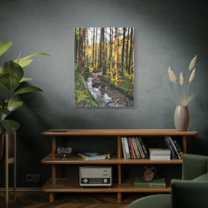 Glanageenty Forest Trail 2 Matte Canvas, Stretched, 1.25"