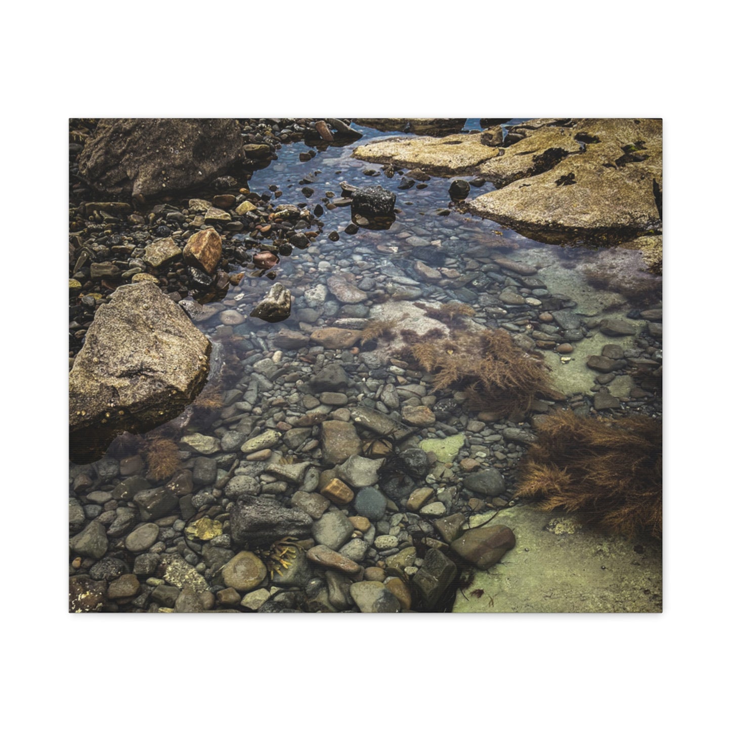 Rocks Matte Canvas, Stretched, 1.25"