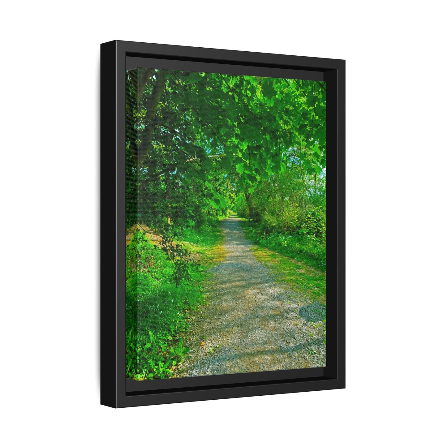 Listowel River Walk Matte Canvas, Framed (Multi-color)