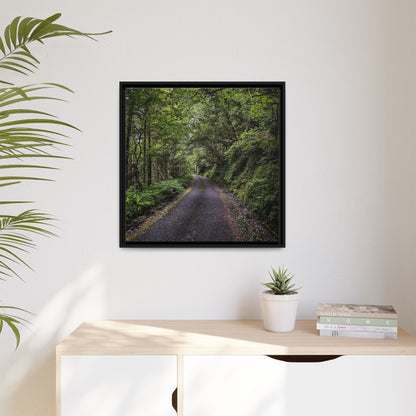 Glanageenty Forest Trail Matte Canvas, Framed (Multi-color)
