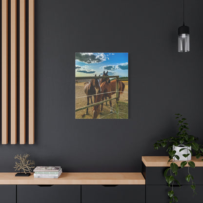 Horses Matte Canvas, Stretched, 1.25"