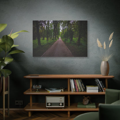 Zagares Park Lithuania Matte Canvas, Stretched, 1.25"