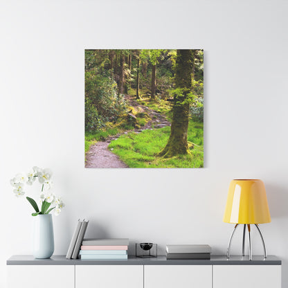 Torc Trail Matte Canvas, Stretched, 1.25"