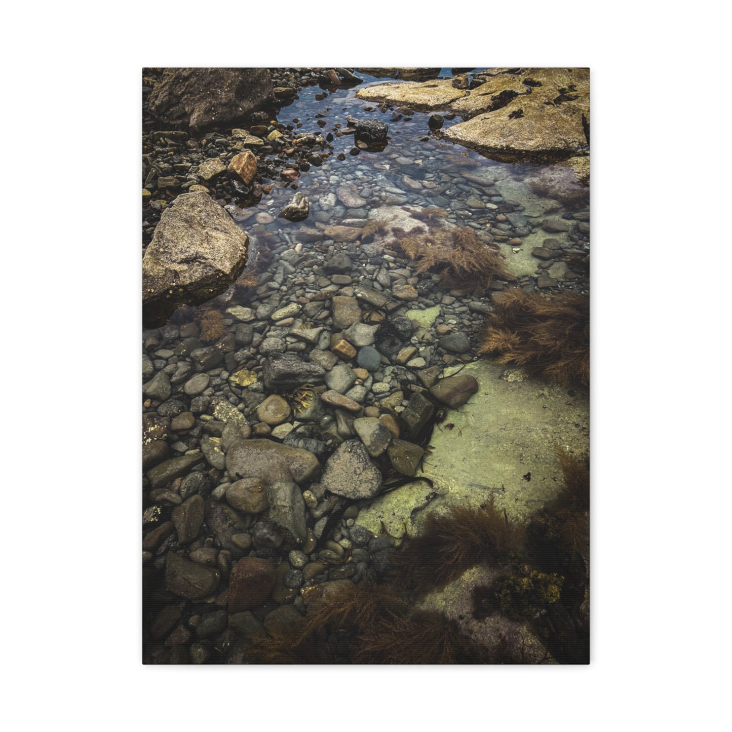 Rocks Matte Canvas, Stretched, 1.25"