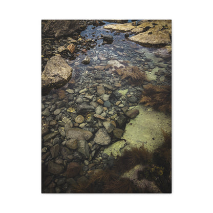 Rocks Matte Canvas, Stretched, 1.25"