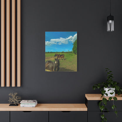 Horse Matte Canvas, Stretched, 1.25"