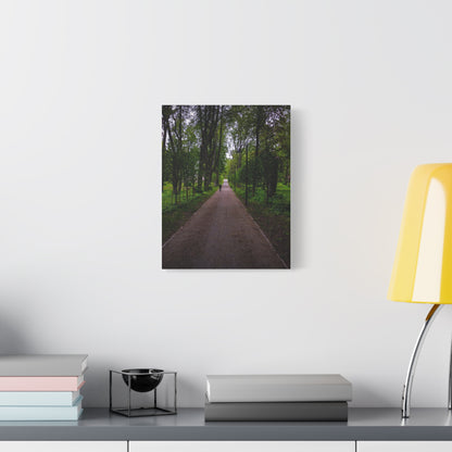 Zagares Park Lithuania Matte Canvas, Stretched, 1.25"